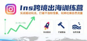 Ins跨境出海训练营,实战驱动玩法,打破不涨粉怪象,玩转社媒自然流量-水滴知识网