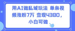 用AI做私域玩法，单条视频涨粉7W变现4.3k，小白可做-水滴知识网