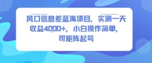 风口信息差蓝海项目，实测一天收益4k+，小白操作简单，可矩阵起号-水滴知识网