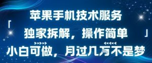 苹果手机技术服务,独家拆解,操作简单,小白可做,月过1W不是梦-水滴知识网