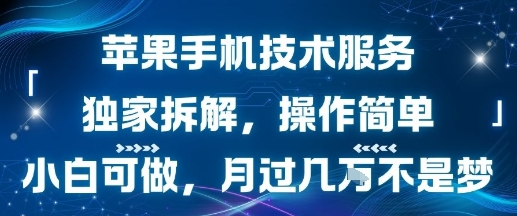 苹果手机技术服务,独家拆解,操作简单,小白可做,月过1W不是梦-水滴知识网