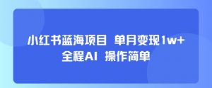 小红书蓝海项目 单月变现1w+ 全程AI 操作简单-水滴知识网