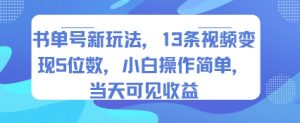 书单号新玩法，13条视频变现5位数，小白操作简单，当天可见收益-水滴知识网