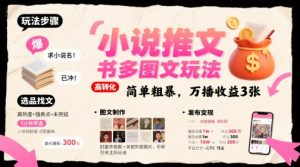 小说推文小红书多图文玩法,简单粗暴,万播收益3张-水滴知识网