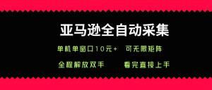 亚马逊全自动采集，单机单窗口一天10+，可无限矩阵去做【揭秘】-水滴知识网