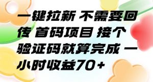 一键拉新 不需要回传 首码项目 接个验证码就算完成 一小时收益70+【揭秘】-水滴知识网