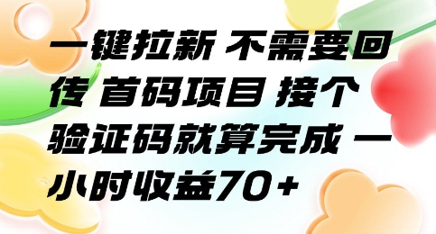 一键拉新 不需要回传 首码项目 接个验证码就算完成 一小时收益70+【揭秘】-水滴知识网