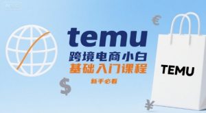 temu跨境电商小白基础入门课程，新手必看-水滴知识网