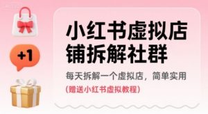 小红书虚拟店铺拆解社群，每天拆解一个虚拟店，简单实用(赠送小红书虚拟教程)-水滴知识网