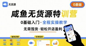 无货源特训营，0基础带你玩转咸鱼无货源-水滴知识网