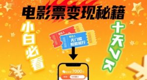 小白必看!卖电影票项目,零投入无门槛谁都能做,十天到手 7k,照做就行【揭秘】-水滴知识网