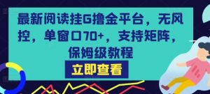 最新阅读挂G撸金平台,无风控,单窗口70+,支持矩阵,保姆级教程【揭秘】-水滴知识网