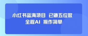 小红书蓝海项目，全程AI，操作简单，已挣五位数-水滴知识网