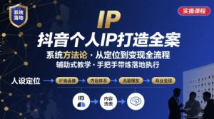 抖音个人IP系统落地实操大课,实操课程,辅助落地-水滴知识网
