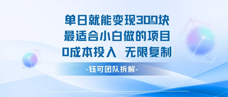 单日就能变现3张最适合小白做的项目0成本投入 无限复制-水滴知识网