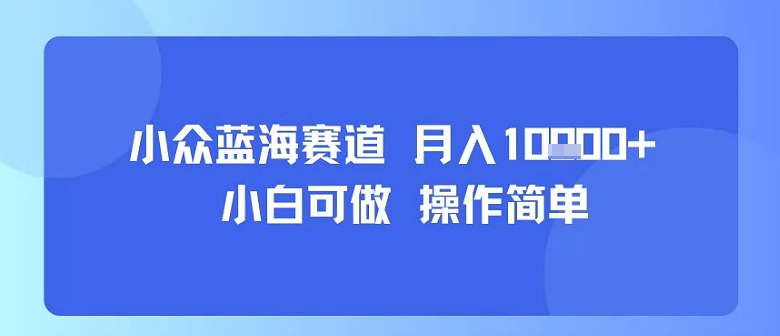 小众蓝海赛道，小白可做，操作简单，每天30分钟，月入1W+-水滴知识网
