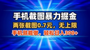 手机截图暴力掘金，两张截图0.7米，一部手机就能做，轻松日入3张+【揭秘】-水滴知识网