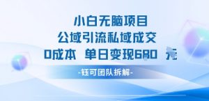 小白无脑项目公域引流私域成交0成本单日变现680米-水滴知识网