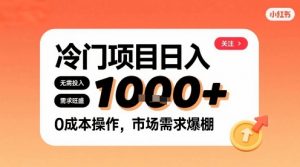 在小红书上发现个冷门路子，需求不小，零成本操作，每天能有1k进账-水滴知识网