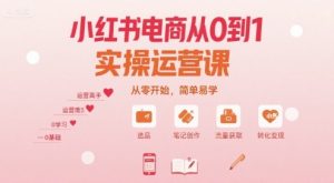小红书电商从0到1实操运营课,从零开始,简单易学-水滴知识网