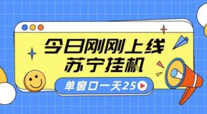 苏宁全自动采集挂G项目 稳定可批量 单窗口收益30+ 附教程【揭秘】-水滴知识网