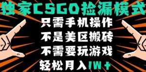 CSGO自动捡漏项目,最新独家玩法,不是美区搬砖,不需要了解和玩游戏,新手小白轻松月入1W+【揭秘】-水滴知识网