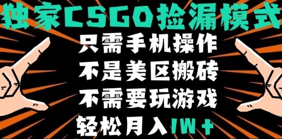 CSGO自动捡漏项目,最新独家玩法,不是美区搬砖,不需要了解和玩游戏,新手小白轻松月入1W+【揭秘】-水滴知识网