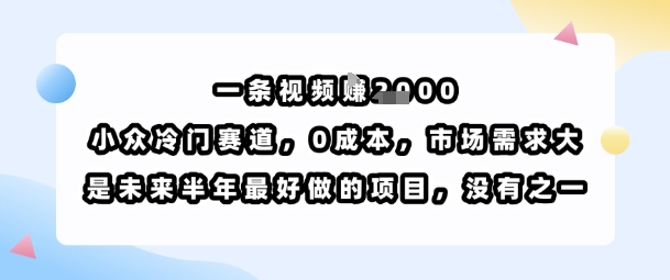 一条视频挣1k，小众冷门赛道，0成本，市场需求大，是未来半年最好做的项目，没有之一-水滴知识网