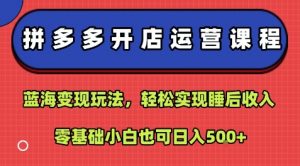 拼多多开店运营课程:蓝海变现玩法,轻松实现睡后收入,零基础小白也可日入5张-水滴知识网