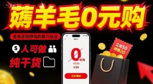 薅羊毛0元购,免单还倒挣钱的暴力玩法,人人可做,纯干货-水滴知识网