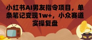 小红书AI男友指令项目,单条笔记变现1w+,小众赛道实操复盘-水滴知识网