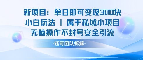 新项目单日即可变现3张的小白玩法无脑操作不封号安全引流-水滴知识网