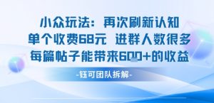 小众玩法再次刷新认知单个收费68米进群人数很多每篇帖子能带来6张的收益-水滴知识网