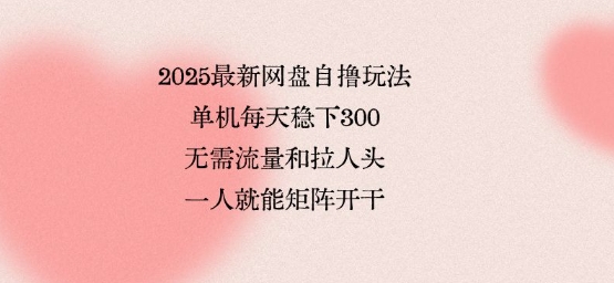 2025最新网盘自撸玩法,单机每天稳下3张,无需流量和拉人头,一个人就可轻松矩阵,全网独一份【揭秘】-水滴知识网