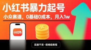 小红书暴力起号，小众赛道，0基础0成本，月入1w-水滴知识网