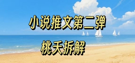 小说推文项目操作全流程第二弹，0粉就能做，门槛低非常适合新手-水滴知识网