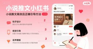 小说推文小红书高转化引导方法实操课,小说推文高效且正确引导方法-水滴知识网