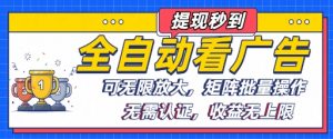 全自动看广告项目，可无限放大，可矩阵批量操作-水滴知识网