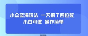 小众蓝海玩法 一天搞了四位数 小白可做 操作简单-水滴知识网