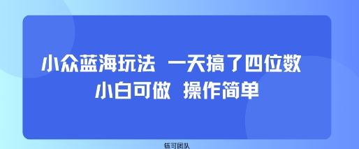 小众蓝海玩法 一天搞了四位数 小白可做 操作简单-水滴知识网