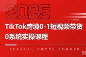 TikTok跨境0-1短视频带货，系统拆解TikTok跨境带货全链路，实现跨境可持续盈利-水滴知识网