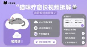 猫咪疗愈长视频拆解 &油管频道运营技巧-水滴知识网