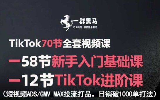 TikTok全套视频课,新手入门+进阶课,短视频ADS-GMV MAX投流打品,日销破1000单打法-水滴知识网