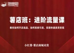 小红薯薯店商城卖货,进阶流量课,教你如何开店选品、如何系统引流,实现快速卖货变现-水滴知识网
