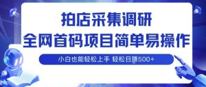 拍店采集调研，全网首码项目，简单易操作， 小白也能轻松上手，多账号操作，轻松日入5张【揭秘】-水滴知识网