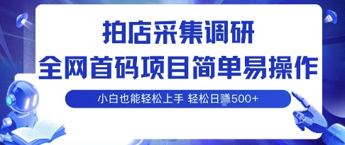拍店采集调研，全网首码项目，简单易操作， 小白也能轻松上手，多账号操作，轻松日入5张【揭秘】-水滴知识网