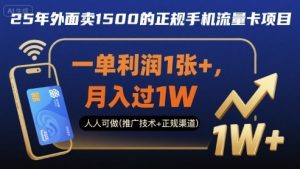 25年外面卖1500的正规手机流量卡项目,一单利润1张+,月入过1W,人人可做(推广技术+正规渠道)【揭秘】-水滴知识网