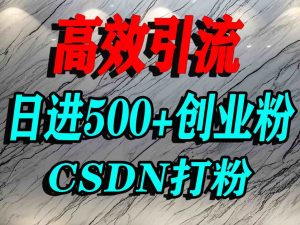 怎么打创业粉?CSDN又一个你不知道的打粉引流神秘平台,单人日引500+精准流量-水滴知识网