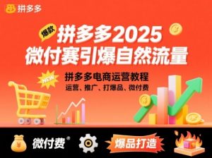 拼多多2025微付赛引爆自然流量,拼多多电商运营教程,运营、推广、打爆品、微付费-水滴知识网