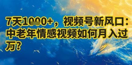 7天收益1k+，视频号新风口：中老年情感视频如何月入过W?-水滴知识网